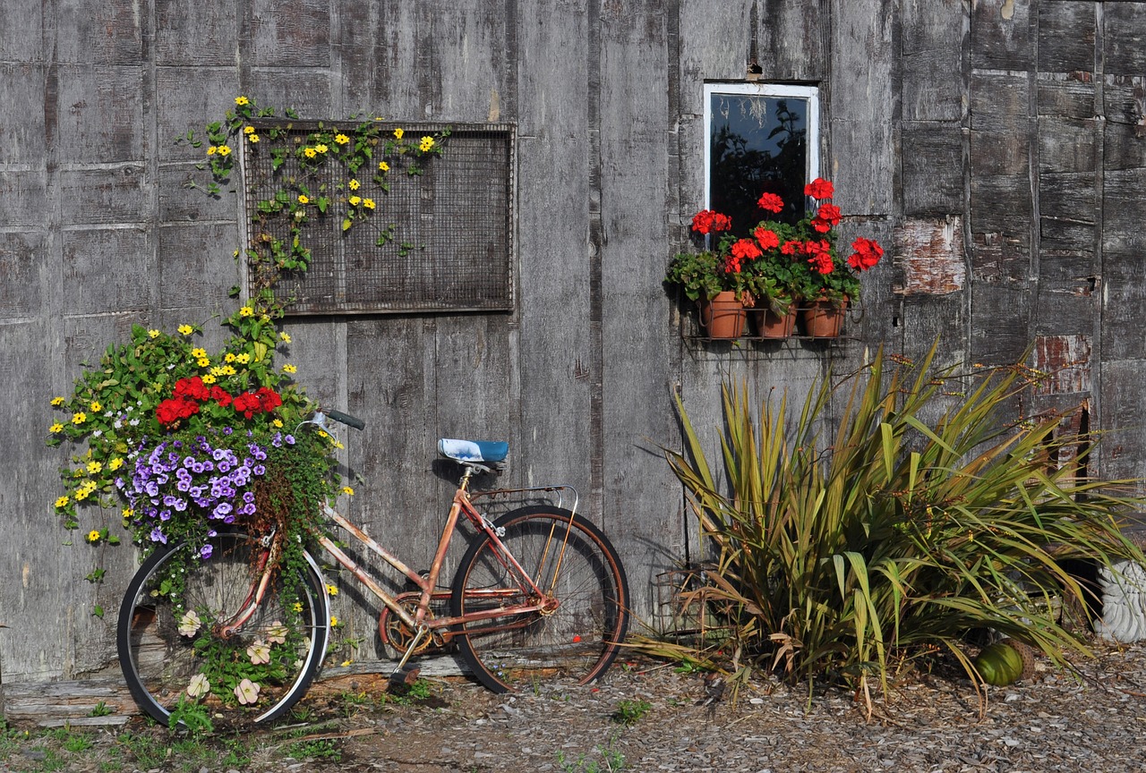From Window Box to Waystation: Turning Tiny Urban Spaces Into Real Hummingbird Habitat