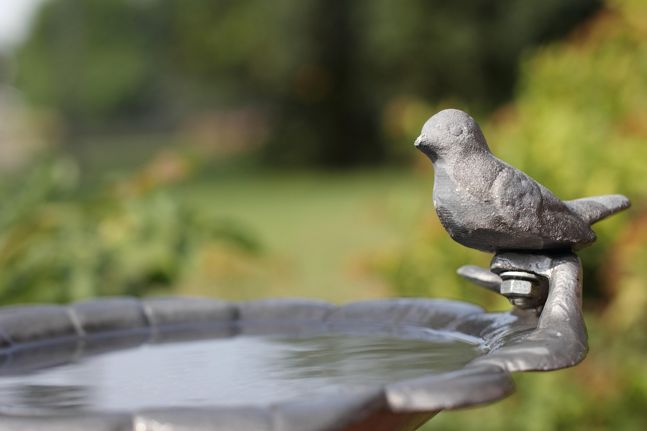 The Quiet Power of a Water Feature: Giving Hummingbirds a Place to Bathe and Rest
